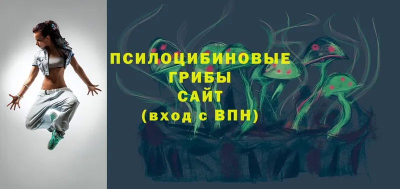 blacksprut ССЫЛКА  Данков  Псилоцибиновые грибы MAGIC MUSHROOMS 